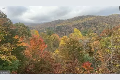 101 Falling Rock Road, Blue Ridge, GA 30513 - Photo 53