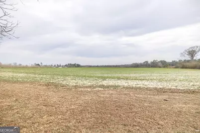 1920 Harvey Road, Abbeville, GA 31001 - Photo 35