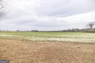 1920 Harvey Rd, Abbeville, GA 31001 - Photo 35