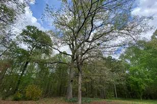 164 Glenn Carrie Rd, Hull, GA 30646 - Photo 47