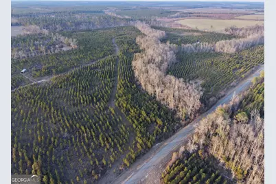 3 Powell School Rd, Lumber City, GA 31549 - Photo 7