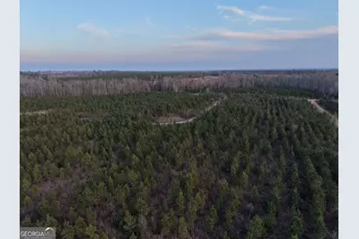 3 Powell School Rd, Lumber City, GA 31549 - Photo 21