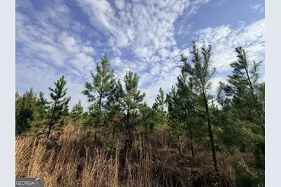 3 Powell School Rd, Lumber City, GA 31549 - Photo 25