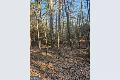 Lt 1620 Nexus Drive, Ellijay, GA 30540 - Photo 7
