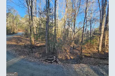 Lt 1620 Nexus Drive, Ellijay, GA 30540 - Photo 3