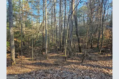 Lt 1620 Nexus Drive, Ellijay, GA 30540 - Photo 5