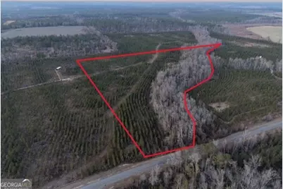 4 Powell School Road, Lumber City, GA 31549 - Photo 1