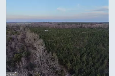 4 Powell School Road, Lumber City, GA 31549 - Photo 13