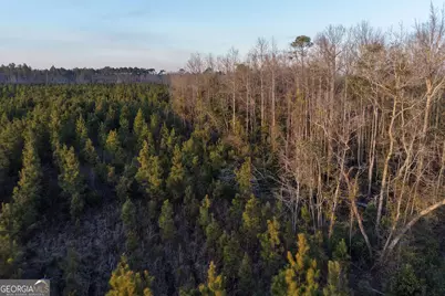 4 Powell School Road, Lumber City, GA 31549 - Photo 5