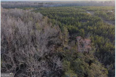 4 Powell School Road, Lumber City, GA 31549 - Photo 7