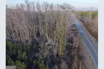 4 Powell School Road, Lumber City, GA 31549 - Photo 15