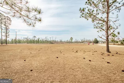 325 New Hope Church Road, Alma, GA 31510 - Photo 15