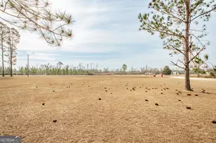 325 New Hope Church Rd, Alma, GA 31510 - Photo 15