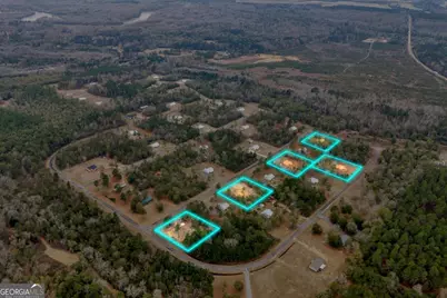 101 Bluegill Road, Vienna, GA 31092 - Photo 3