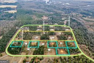 101 Bluegill Rd, Vienna, GA 31092 - Photo 3