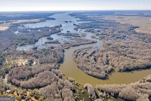 27 Bluegill Rd, Vienna, GA 31092 - Photo 35