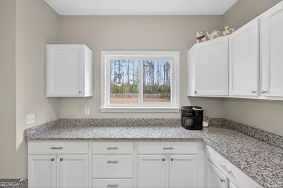 322 Peewee Drive, Ludowici, GA 31316 - Photo 25