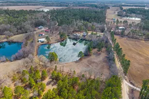 60 Rolling Hills Rd, Statesboro, GA 30461 - Photo 45