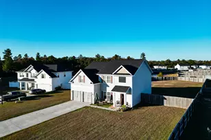 118 Loganberry Ln NE, Ludowici, GA 31316 - Photo 5