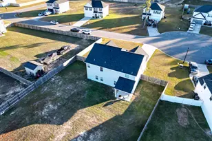 118 Loganberry Ln NE, Ludowici, GA 31316 - Photo 13