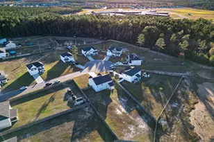 118 Loganberry Ln NE, Ludowici, GA 31316 - Photo 11