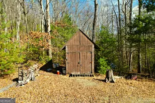 601 Skeenah Springs Rd, Blairsville, GA 30512 - Photo 31