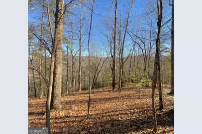 601 Skeenah Springs Road, Blairsville, GA 30512 - Photo 23