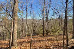 601 Skeenah Springs Rd, Blairsville, GA 30512 - Photo 23