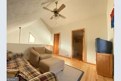 601 Skeenah Springs Road, Blairsville, GA 30512 - Photo 19