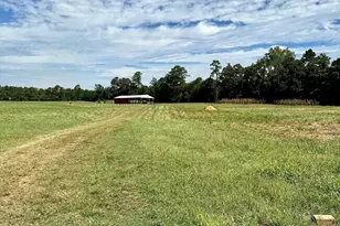 1988 Ga Highway 212 W, Monticello, GA 31064 - Photo 3