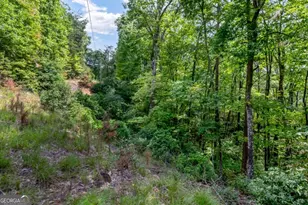 4 69 Ac Rockwater Rd, Ellijay, GA 30536 - Photo 1