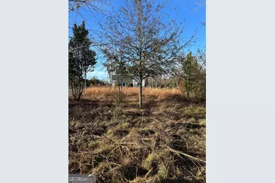 97 Marie Connor, Milan, GA 31060 - Photo 5