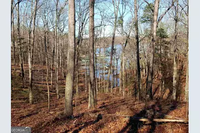 0 Wineberger Road, Hartwell, GA 30643 - Photo 7