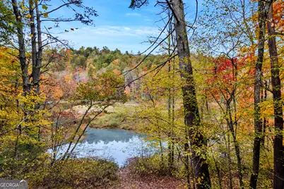 4057 Whitepath Road, Ellijay, GA 30540 - Photo 25