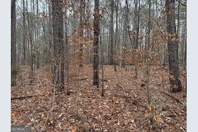 0 Thomas Drive, Eatonton, GA 31024 - Photo 1