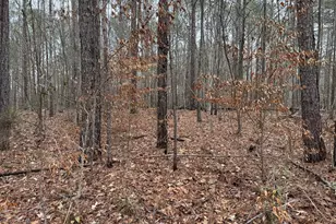 0 Thomas Dr, Eatonton, GA 31024 - Photo 1