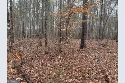 0 Thomas Drive, Eatonton, GA 31024 - Photo 5