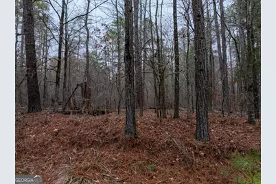 44.61 Acres Arnold Caldwell Road, Carlton, GA 30627 - Photo 9