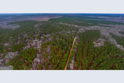 44.61 Acres Arnold Caldwell Road, Carlton, GA 30627 - Photo 7