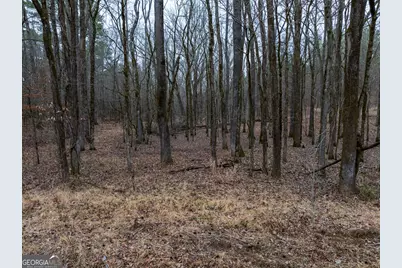 44.61 Acres Arnold Caldwell Road, Carlton, GA 30627 - Photo 11