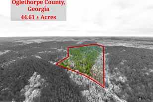 44 61 Acres Arnold Caldwell Rd, Carlton, GA 30627 - Photo 1