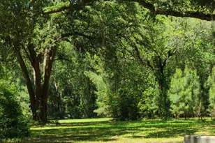 0 Annie Holt Rd, Glennville, GA 30427 - Photo 5