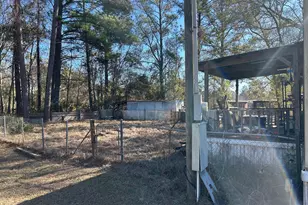 0 Annie Holt Rd, Glennville, GA 30427 - Photo 5