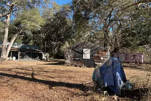 0 Annie Holt Rd, Glennville, GA 30427 - Photo 15