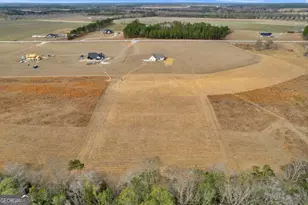 3514 Hwy 121 Hwy, Blackshear, GA 31516 - Photo 43