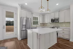 3514 Hwy 121 Hwy, Blackshear, GA 31516 - Photo 9