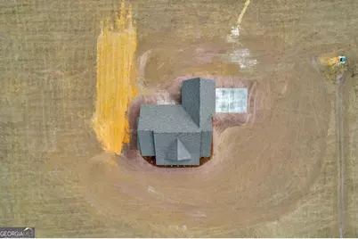 3514 Hwy 121 Highway, Blackshear, GA 31516 - Photo 45