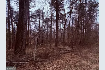 967 Old Highway 100, Waco, GA 30182 - Photo 5