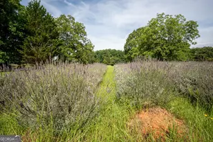 442 Buffalo Creek Rd, Carrollton, GA 30117 - Photo 33
