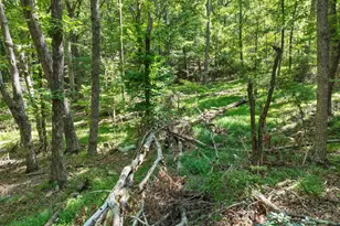 156 Mulberry Cir, Jasper, GA 30143 - Photo 9